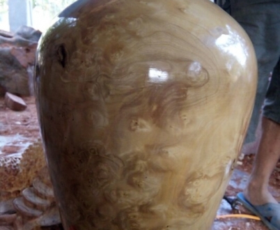 NU BẰNG LĂNG - CAO 45